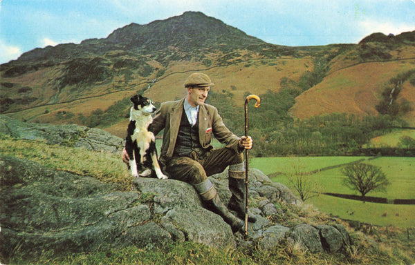 Modern size postcard showing a Lakeland Shepherd and his dog