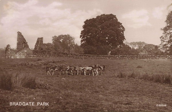 Old real photo postcard of Bradgate Park in Leicestershire