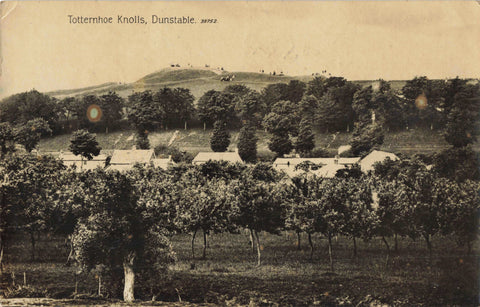 Old real photo postcard of Totternhoe Knolls, Dunstable, Bedfordshire