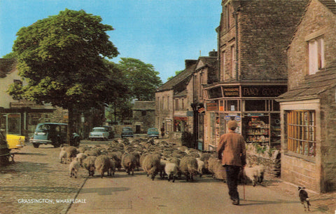 GRASSINGTON, WHARFEDALE, YORKSHIRE, WITH SHEEP POSTCARD 