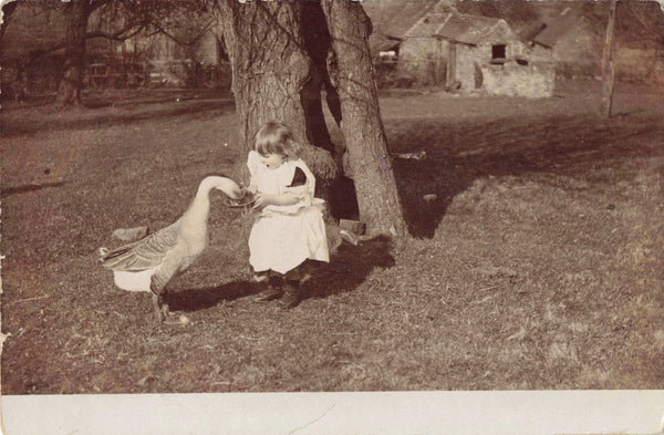 CHILD AND GOOSE, 1904 REAL PHOTO POSTCARD, POSTED ATHERSTONE