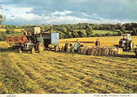 HARVEST, 1970s POSTCARD FROM MRS WHEATLEY, AUSTREY W.I. NR ATHERSTONE
