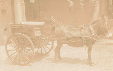 UNTITLED PONY AND CARRIAGE, REAL PHOTO POSTCARD