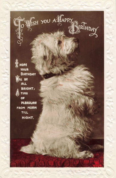 REAL PHOTO BIRTHDAY POSTCARD TO DENNIS, 1935 - DOG (ref 5643/22)