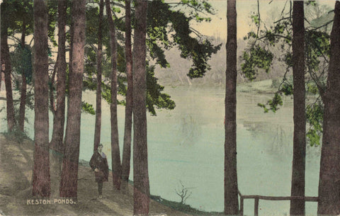Old postcard of Keston Ponds in Kent