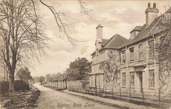 Old postcard of Rose Lane, Ripley, nr Woking