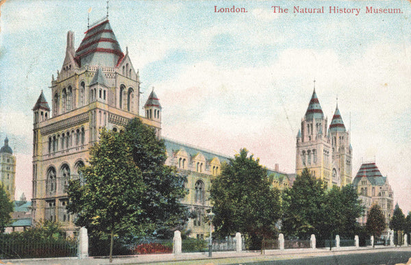 Old postcard of the Natural History Museum, London
