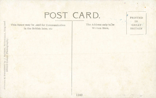 THE VINE, SEVENOAKS, OLD KENT POSTCARD (ref 3852/24)