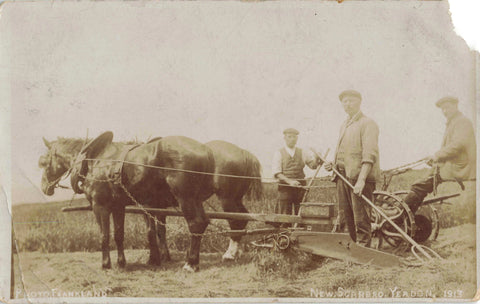 Old real photo postcard titled New Scarbro, Yeadon, 1913 - horse drawn plough and men