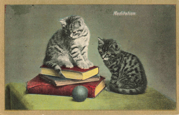 Old postcard showing two cats, titled Meditation