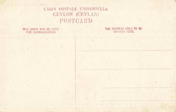 BULLOCK HACKERY, CEYLON - OLD POSTCARD (ref 6146/22)