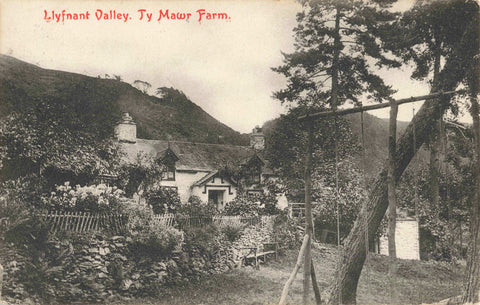 1906 postcard of Llyfnant Valley, Ty Mawr Farm, near Machynlleth