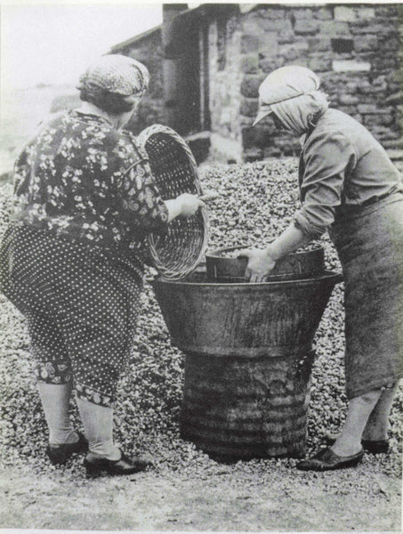 Photograph (not postcard) on the back of which is written "Penclawdd Belles sort cockle shells, c1944"