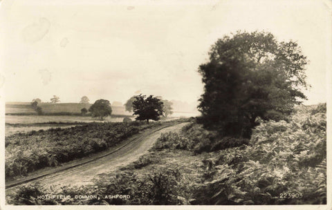 Old postcard of Hothfield Common, Ashford, Kent