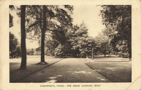 Old postcard of Champneys, Tring, The Drive Looking West