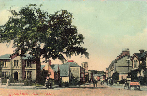 QUEEN STREET, NEWTON ABBOT - 1909 POSTCARD (ref 3796/W1/22)