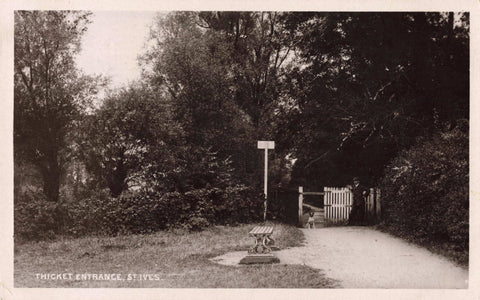 1907 real photo postcard of Thicket Entrance, St Ives in Huntingdonshire district of Cambridgeshire