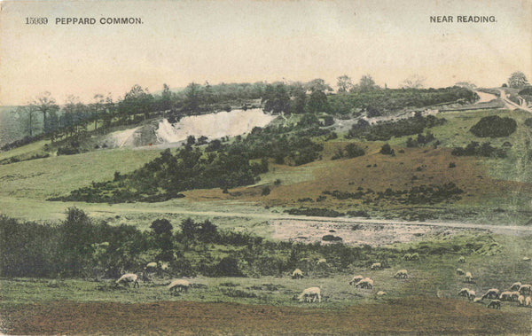 Old postcard of Peppard Common, nr Reading