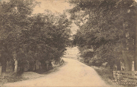 Old postcard of Bury Lane, Sutton, Cambridgeshire