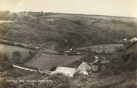 Old postcard of Spekes Mill Valley, Hartland in Devon