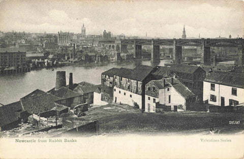 Old postcard of Newcastle from Rabbit Banks
