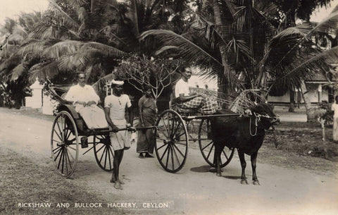 Old real photo postcard of a Rickshaw and Bullock Hackery, Ceylon