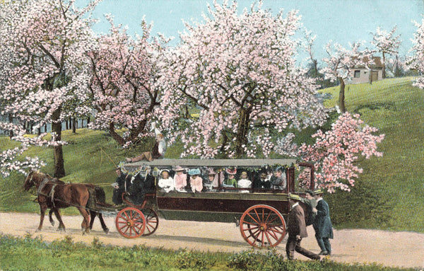 4 OLD POSTCARDS OF HORSE DRAWN BUS & FOLK ON A TRIP (ref 5105/22/W5)