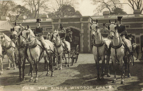 Old real photo postcard of The King's Windsor Greys