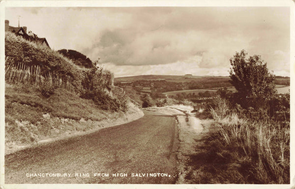 Chanctonbury Ring from High Salvington, real photo postcard, 1960