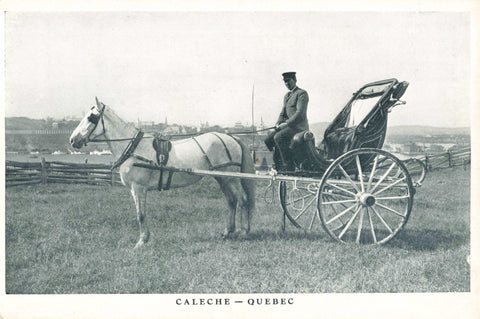 CALECHE, QUEBEC - HORSE & CARRIAGE POSTCARD (ref 5364/22/W5)