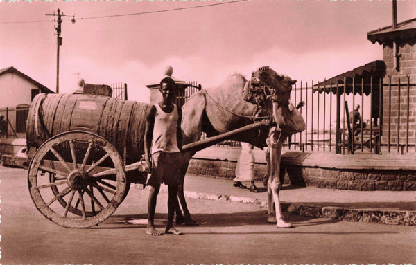 Old real photo postcard of man with camel cart, Aden, Yemen