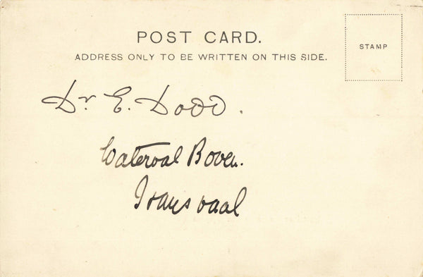 TYPICAL OX WAGGON, SOUTH AFRICA - 1903 POSTCARD (ref 5138/22/W5)