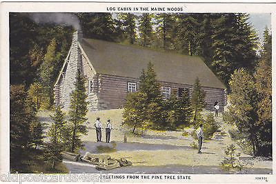 LOG CABIN IN THE MAINE WOODS, GREETINGS FROM PINE TREE STATE - (ref 6775/13)
