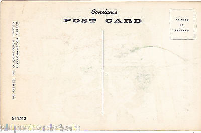 WHAT ARE YOU GOING TO DO WITH THAT DOUGHNUT?  CONSTANCE COMIC POSTCARD (ref 1567)