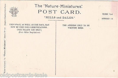 LAKELAND - PRE 1918 MISCH & STOCKS POSTCARD (ref 1524/15)