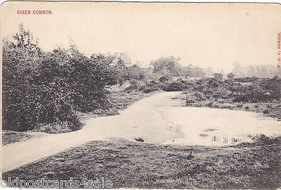 SHEEN COMMON, SURREY (SHOWING POND?) - OLD POSTCARD (ref 3492)