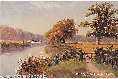 THE WEY NEAR SHALFORD, SURREY - OLD HILDESHEIMER ART POSTCARD (ref 2298/15)