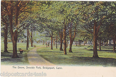 THE GROVE, SEASIDE PARK, BRIDGEPORT, CONN., OLD POSTCARD (ref 4814)