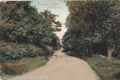 CRUMLIN ROAD, PONTYPOOL - EARLY 1900s POSTCARD (ref 5298)