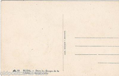 BLIDA - DANS LES GORGES DE LA CHIFFA - BERGER ARABE - ALGERIA POSTCARD (ref 4281/14)