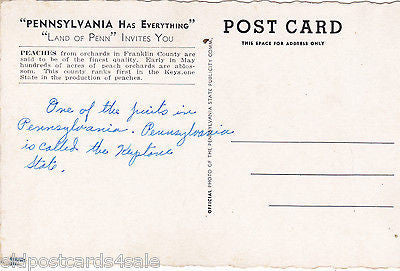 PENNSYLVANIA HAS EVERYTHING - POSTCARD (ref 3794/13)