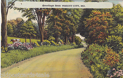 GREETINGS FROM WRIGHT CITY, MO. - OLD POSTCARD (ref 5651/13)