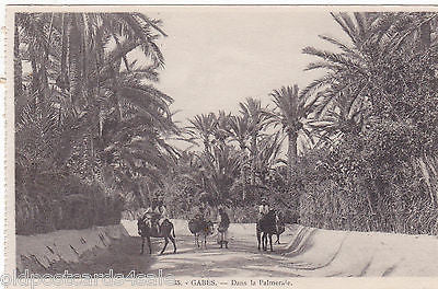 GABES, TUNISIA - DANS LA PALMARALE