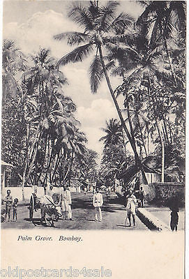 PALM GROVE, BOMBAY - OLD POSTCARD (ref 2107)