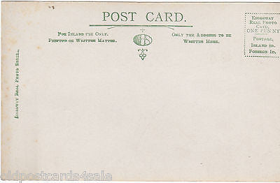 THE CHEESERING, NR LISKEARD - c1920s REAL PHOTO POSTCARD (ref 3715)