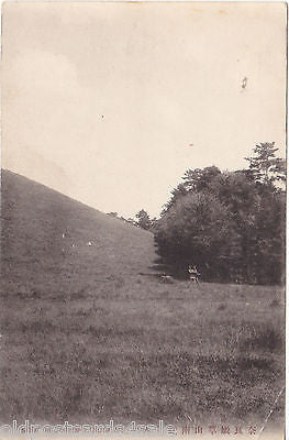 SOUTH FOOT OF KASUGA MT, NARA - PHOTO POSTCARD - JAPAN