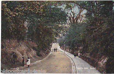 Chantry Lane, Bexhill