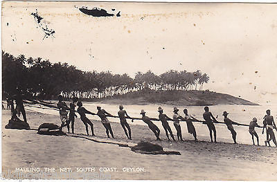 HAULING THE NET, SOUTH COAST, CEYLON - REAL PHOTO POSTCARD (ref 5797/13)