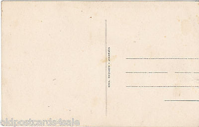 BLIDA-CHREA - LA ROUTE DE CHREA - OLD POSTCARD (ref 4276/14)