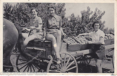 PENNSYLVANIA HAS EVERYTHING - POSTCARD (ref 3794/13)